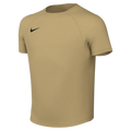 Nike Youth Dri-Fit Park VIII Jersey - Jersey Gold