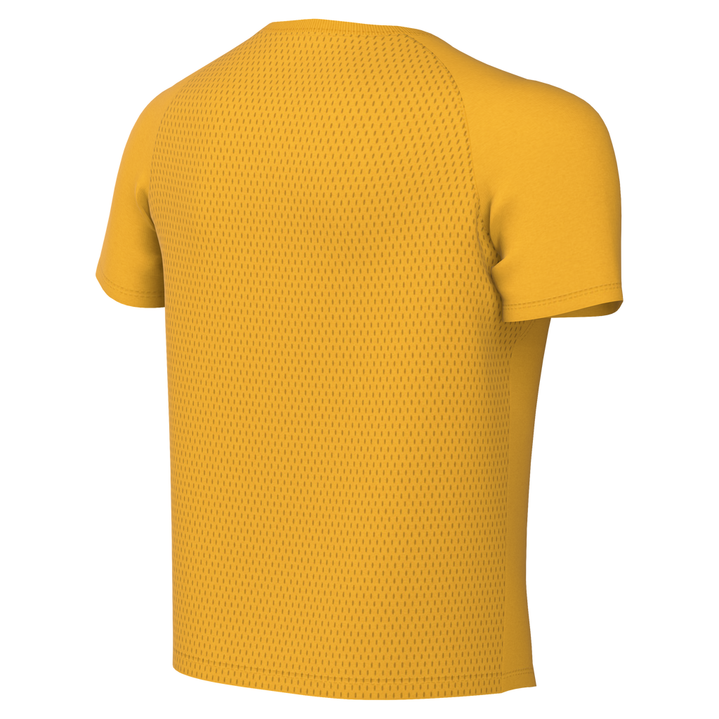 Nike Youth Dri-Fit Park VIII Jersey - University Gold