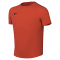 Nike Youth Dri-Fit Park VIII Jersey - Team Orange