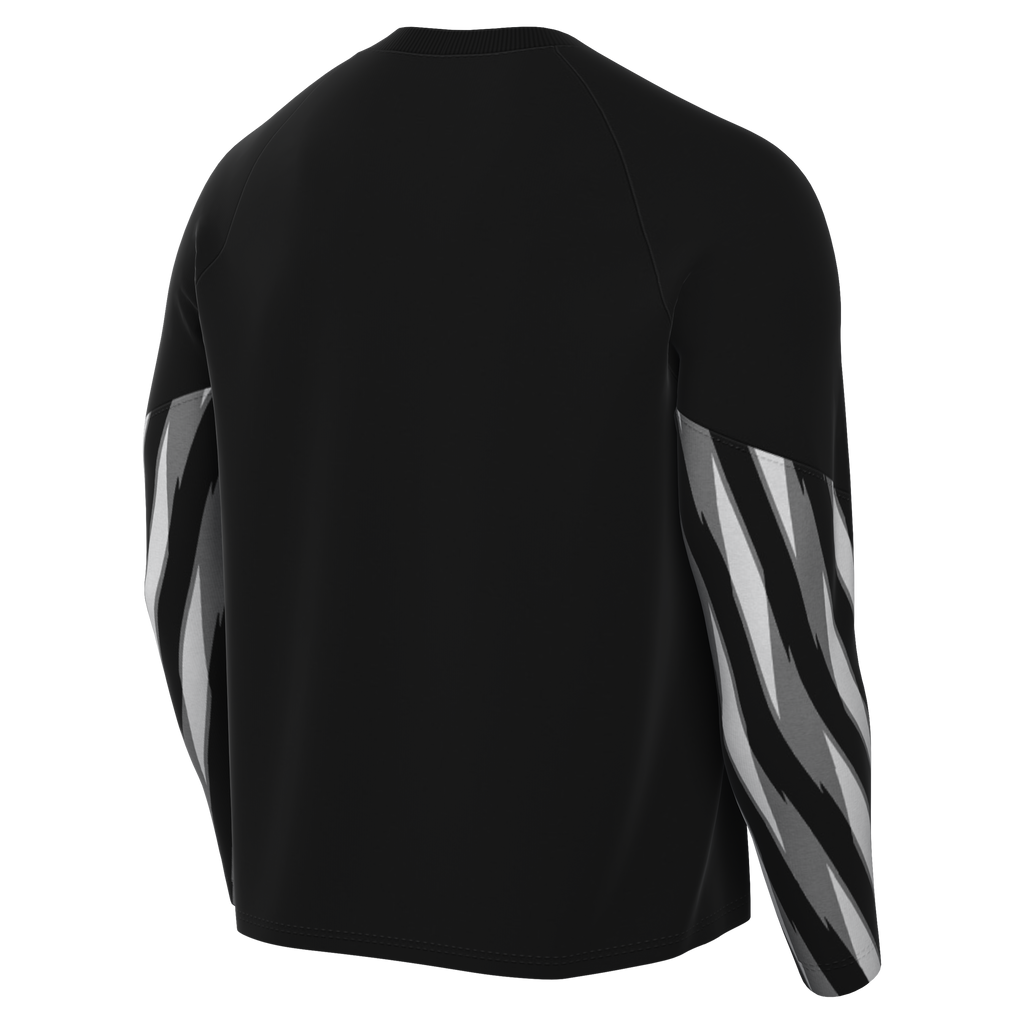 Nike Dri-Fit Park V Gk L/S Jersey - Black