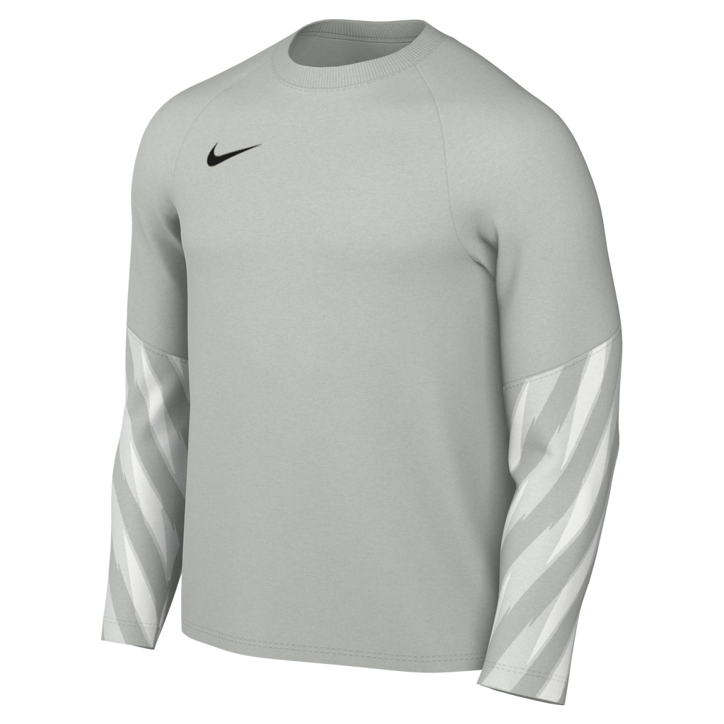 Nike Dri-Fit Park V Gk L/S Jersey - Grey Fog