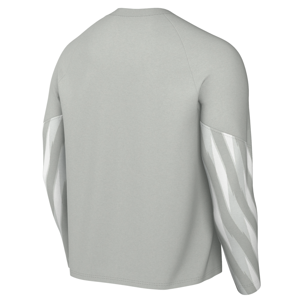 Nike Dri-Fit Park V Gk L/S Jersey - Grey Fog