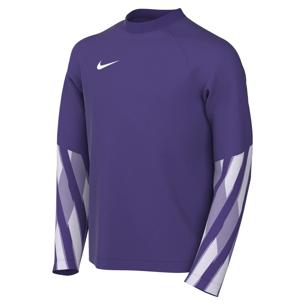 Nike Youth Dri-Fit Park V Gk L/S Jersey - Wild Grape