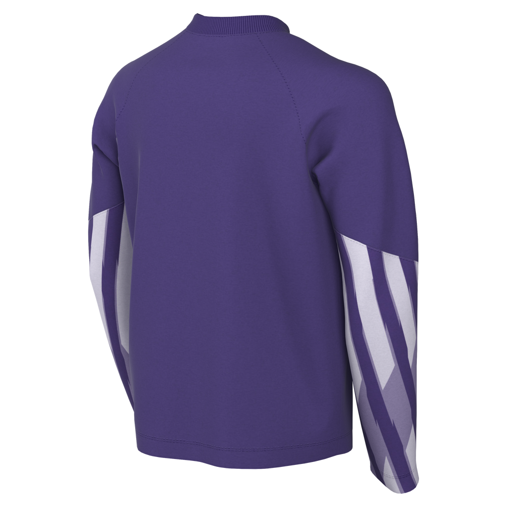 Nike Youth Dri-Fit Park V Gk L/S Jersey - Wild Grape