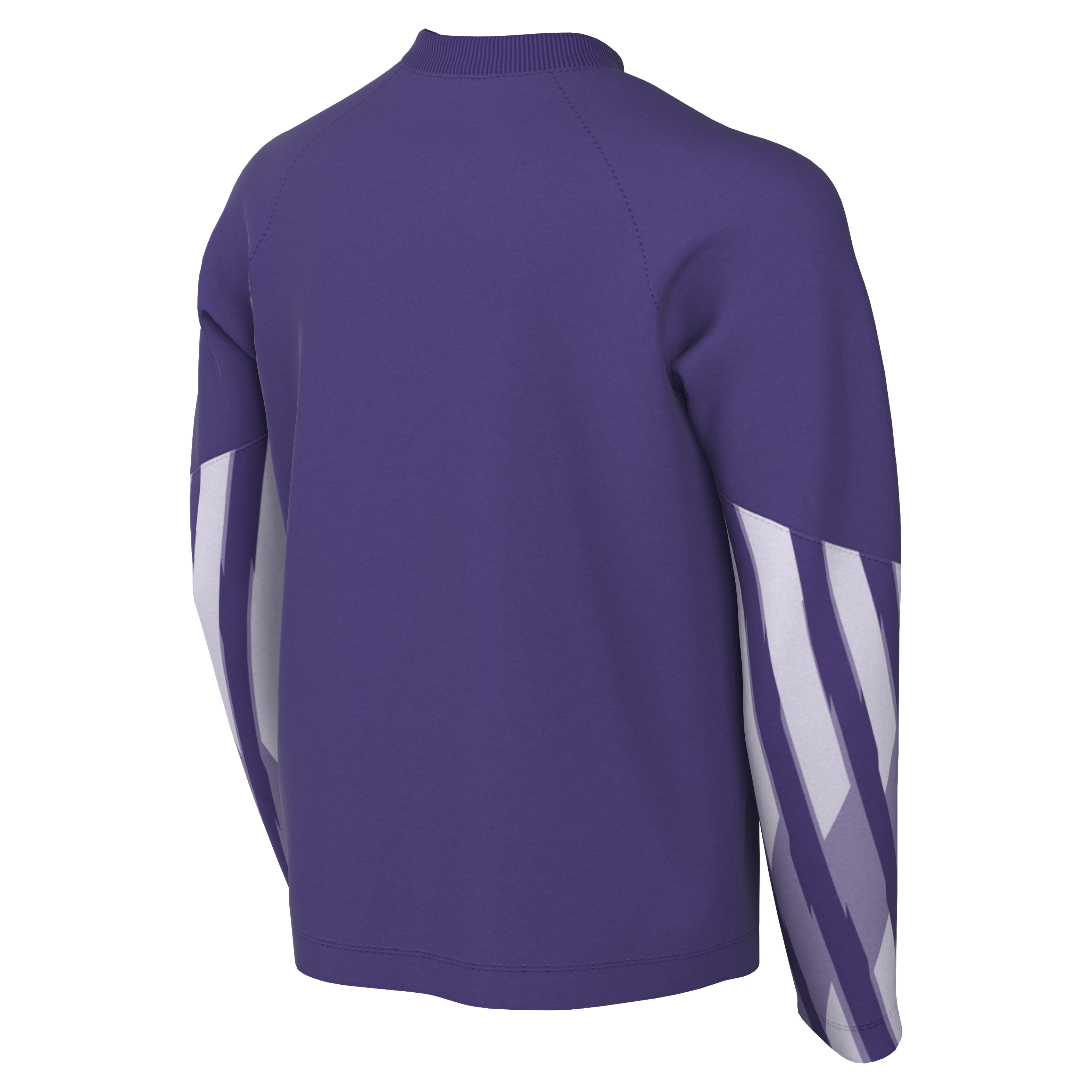 Nike Youth Dri-Fit Park V Gk L/S Jersey - Wild Grape