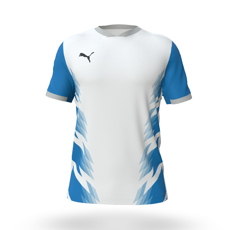 Puma fastPlay Jersey V 17 - Hauppauge White