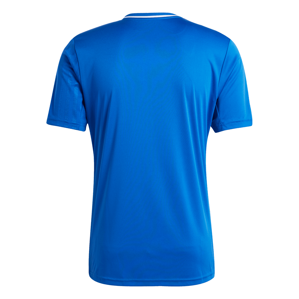 adidas Campeon 25 Jersey - Royal