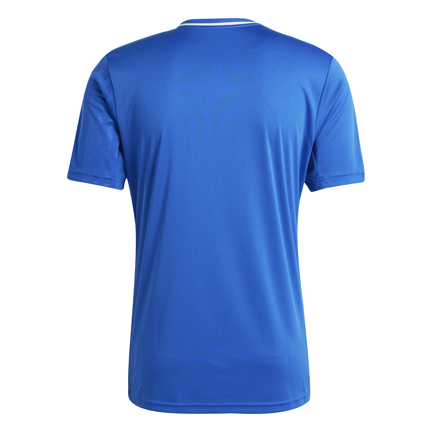 adidas Campeon 25 Jersey - Royal