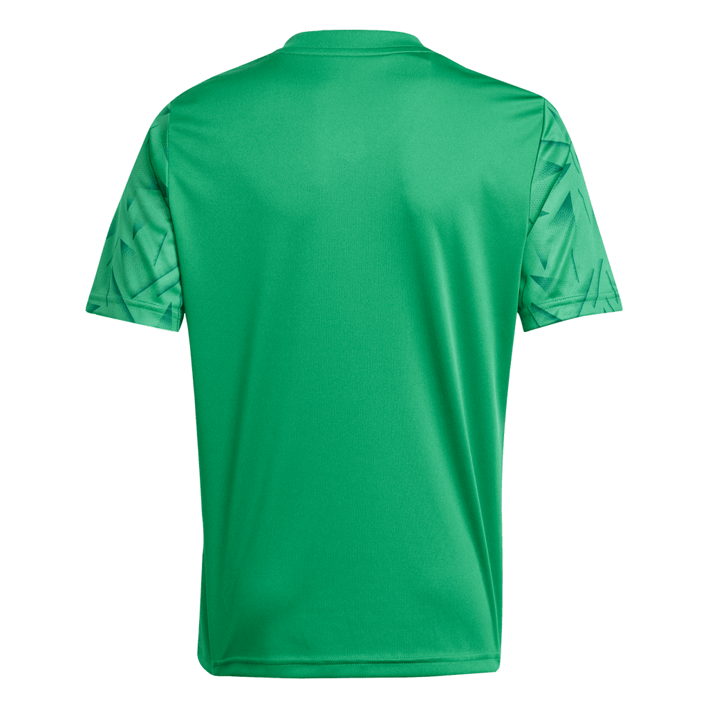 adidas Youth Team Icon 25 Jersey - Green