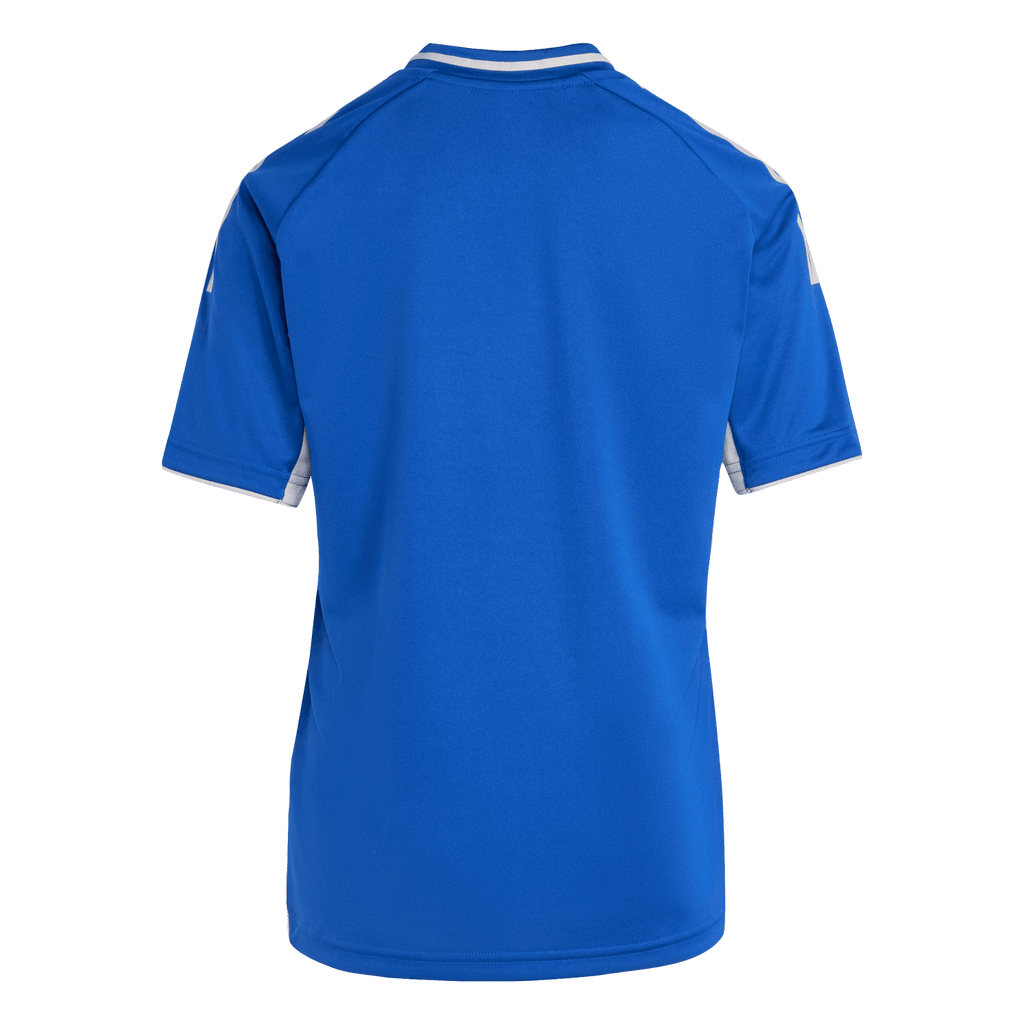 adidas Youth Tiro 25 Competition Match Jersey - Royal