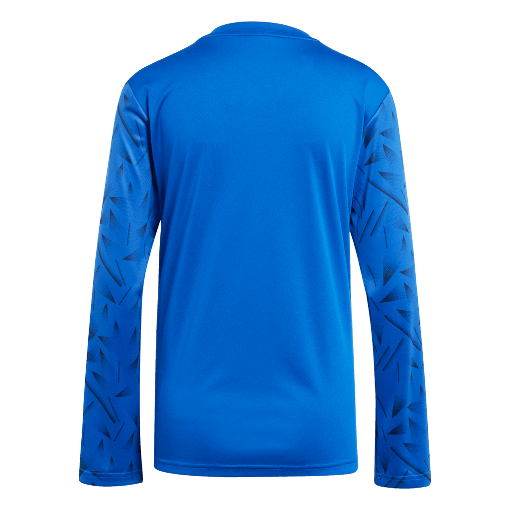 adidas Women's Team Icon 25 Long Sleeve Jersey - Royal