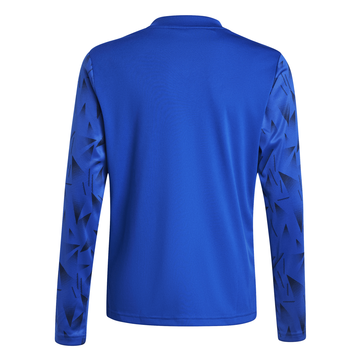 adidas Youth Team Icon 25 Long Sleeve Jersey - Royal