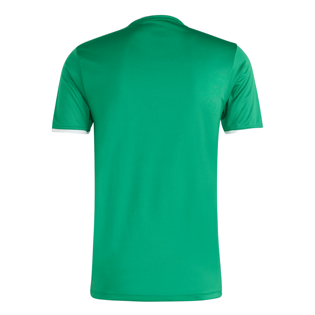adidas Entrada 26 Jersey - Green