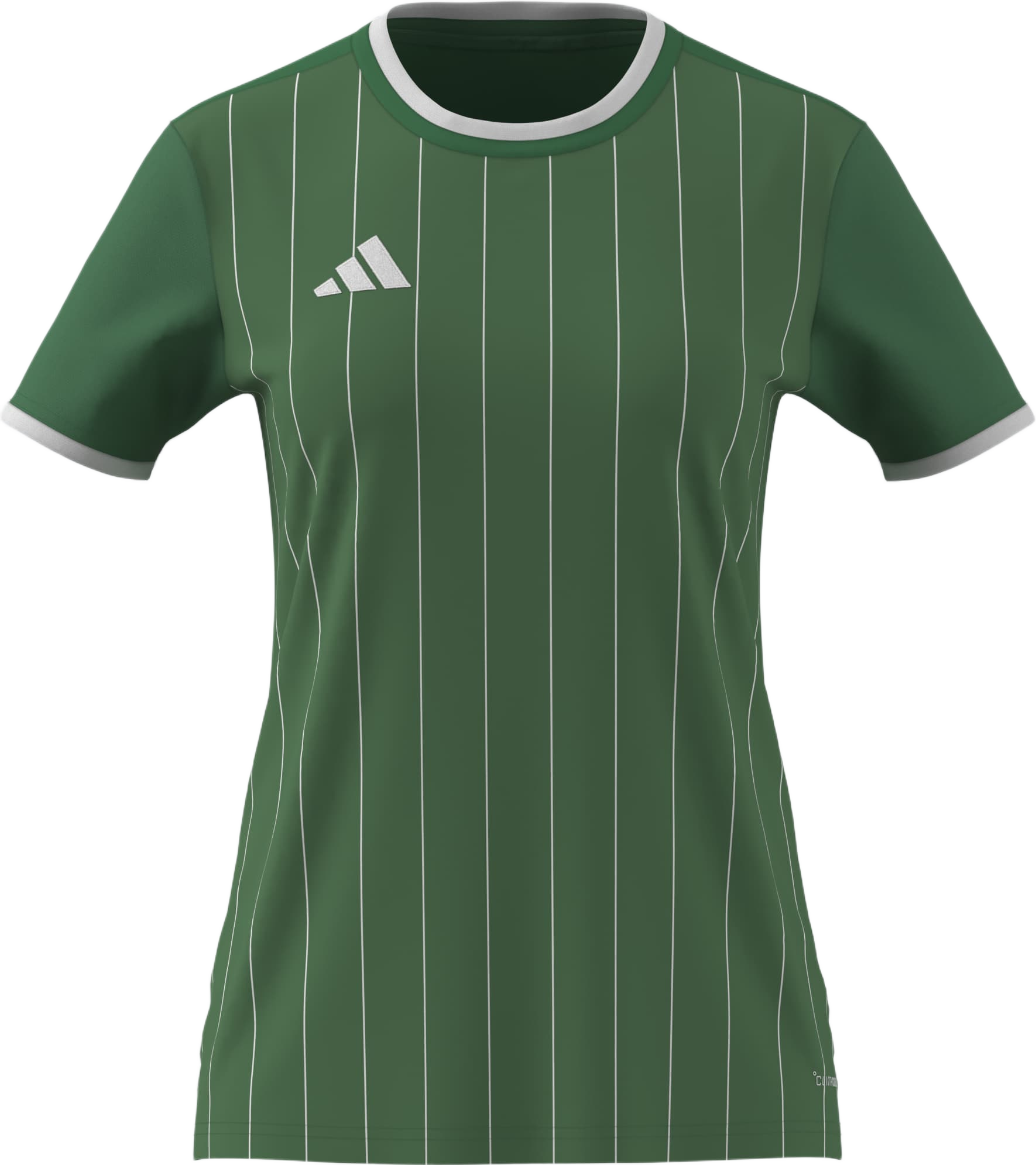 adidas Women's Entrada 26 Graphic Jersey - Green