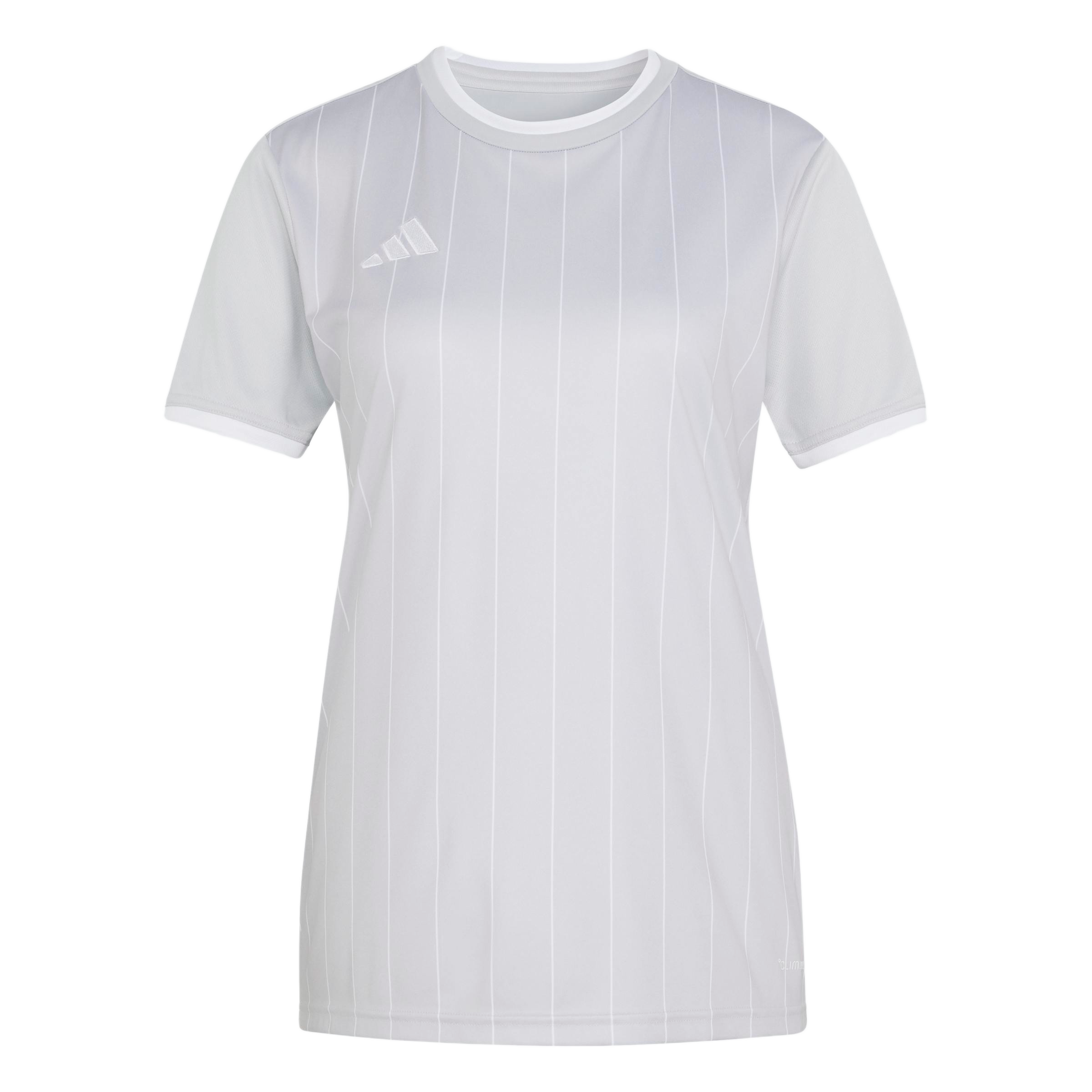 adidas Women's Entrada 26 Graphic Jersey - Light Grey