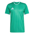 adidas Entrada 26 Graphic Jersey - Green