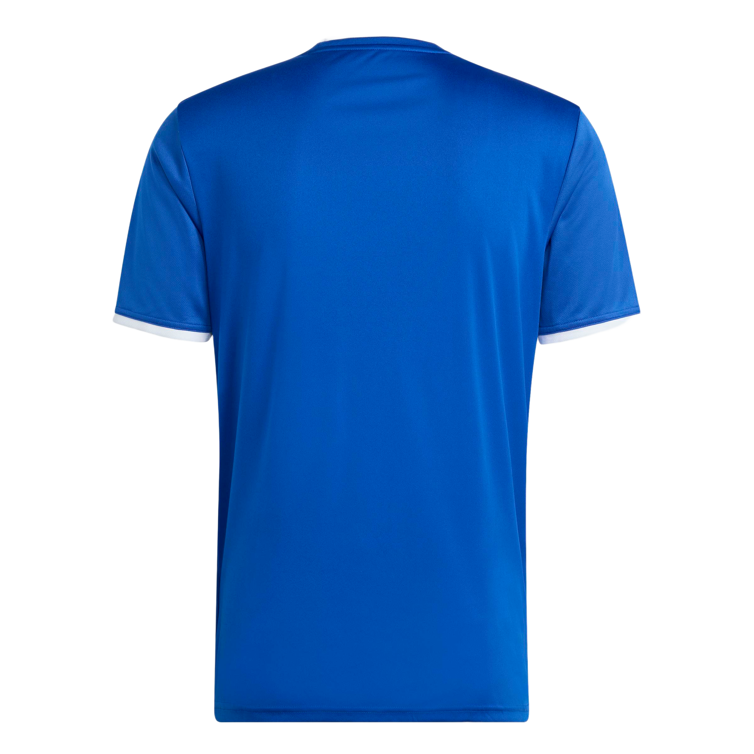 adidas Entrada 26 Graphic Jersey - Royal Blue