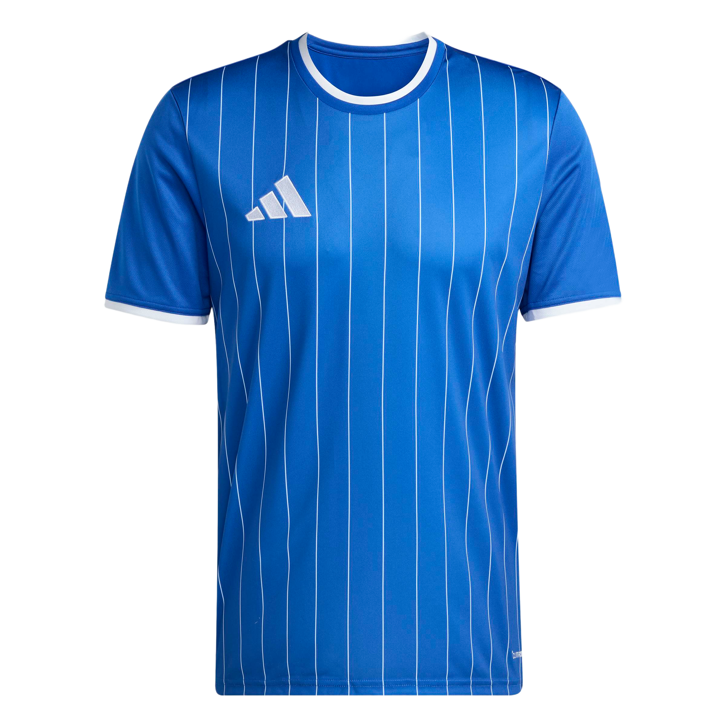 adidas Entrada 26 Graphic Jersey - Royal Blue