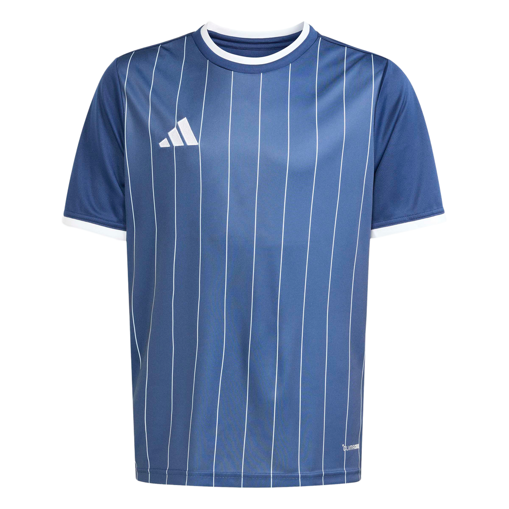 adidas Youth Entrada 26 Graphic Jersey - Navy Blue