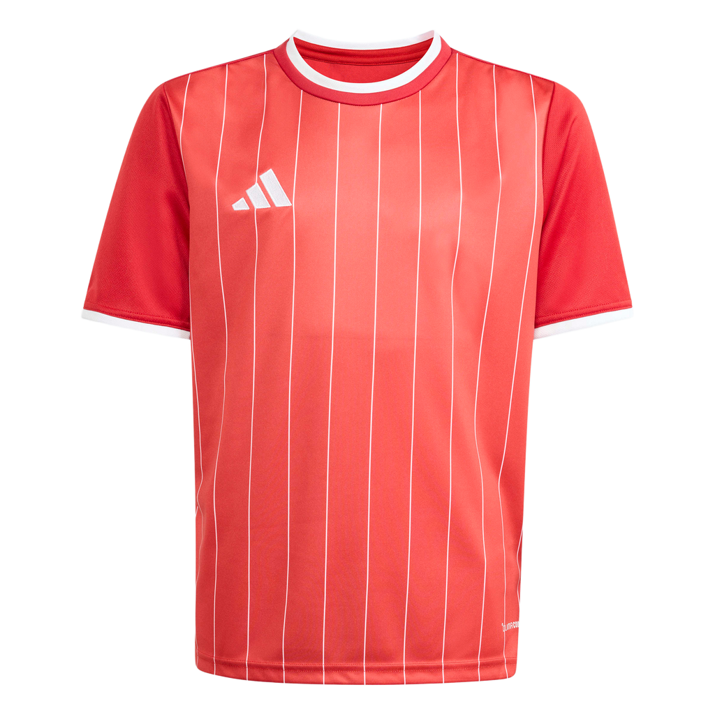 adidas Youth Entrada 26 Graphic Jersey - Red