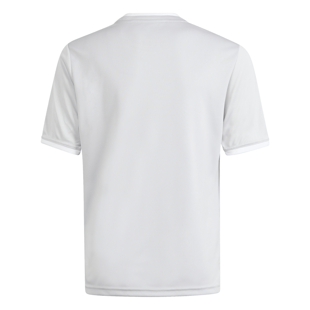adidas Entrada 26 Graphic Jersey - Light Grey