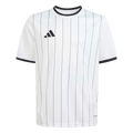adidas Youth Entrada 26 Graphic Jersey - White