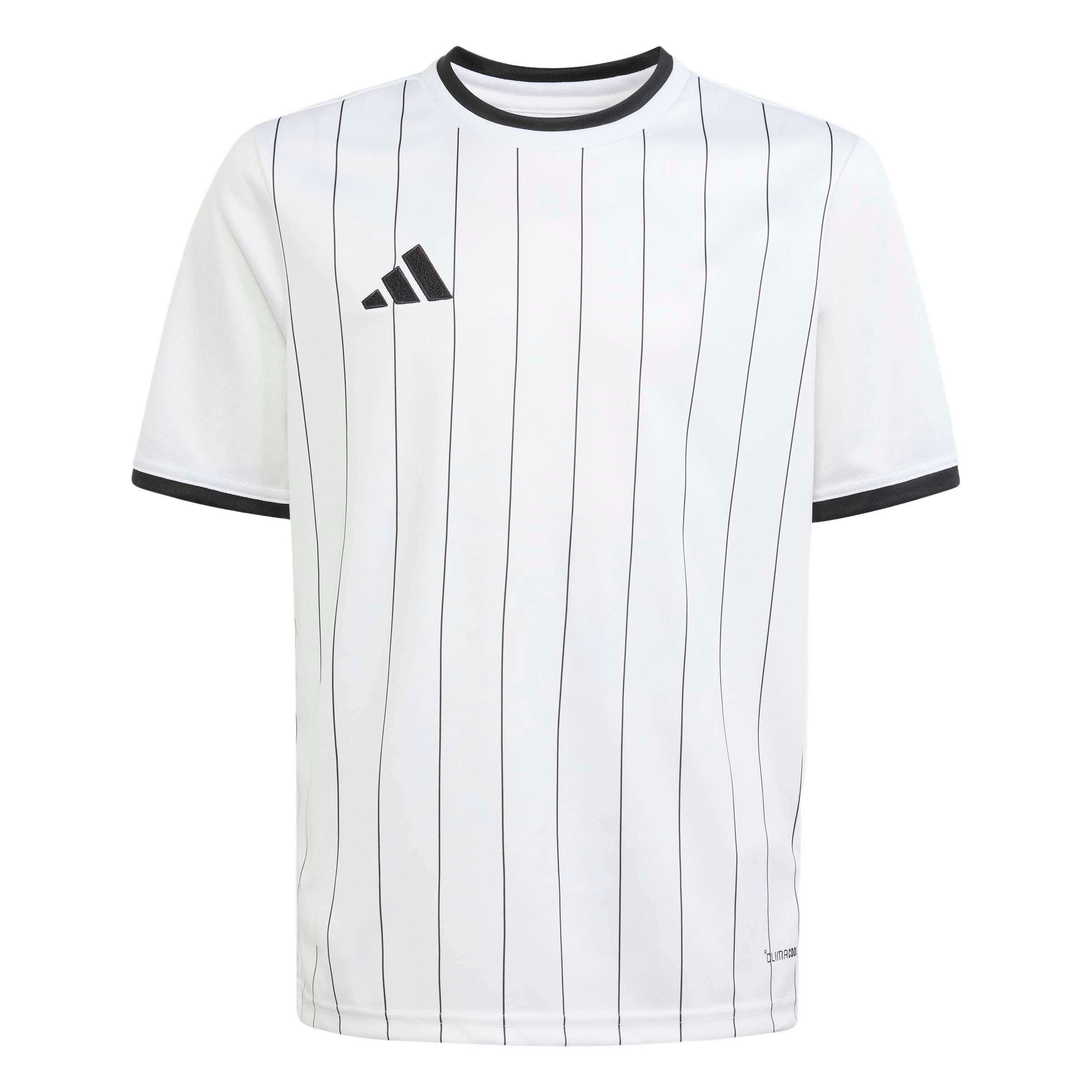 adidas Youth Entrada 26 Graphic Jersey - White