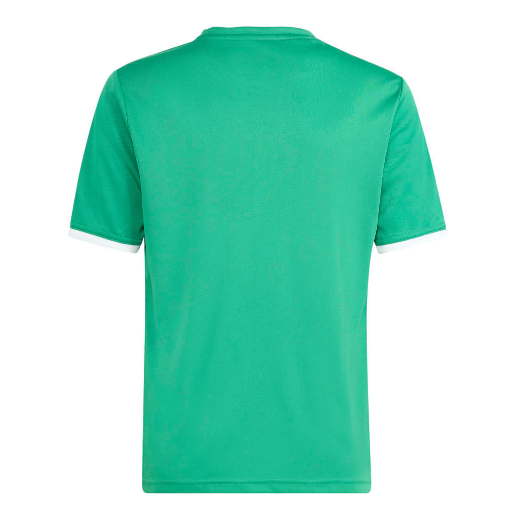 adidas Youth Entrada 26 Graphic Jersey - Green