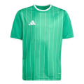 adidas Youth Entrada 26 Graphic Jersey - Green