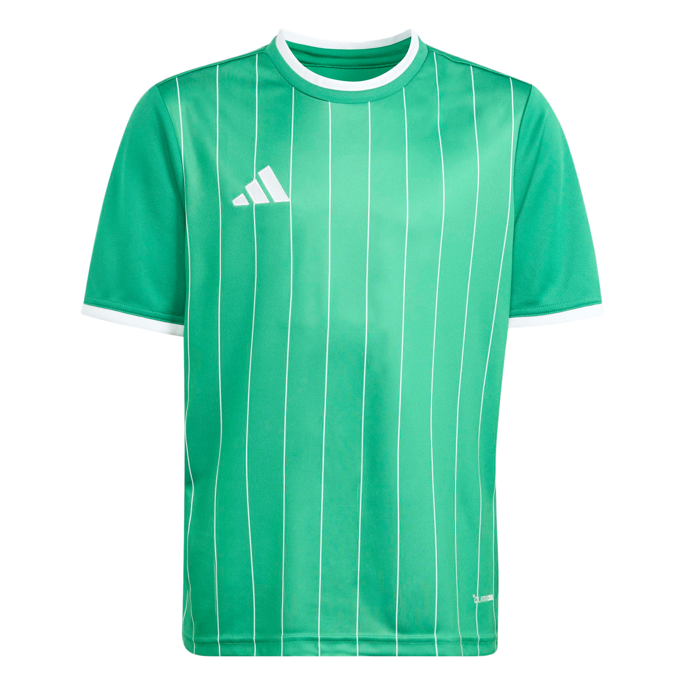 adidas Youth Entrada 26 Graphic Jersey - Green