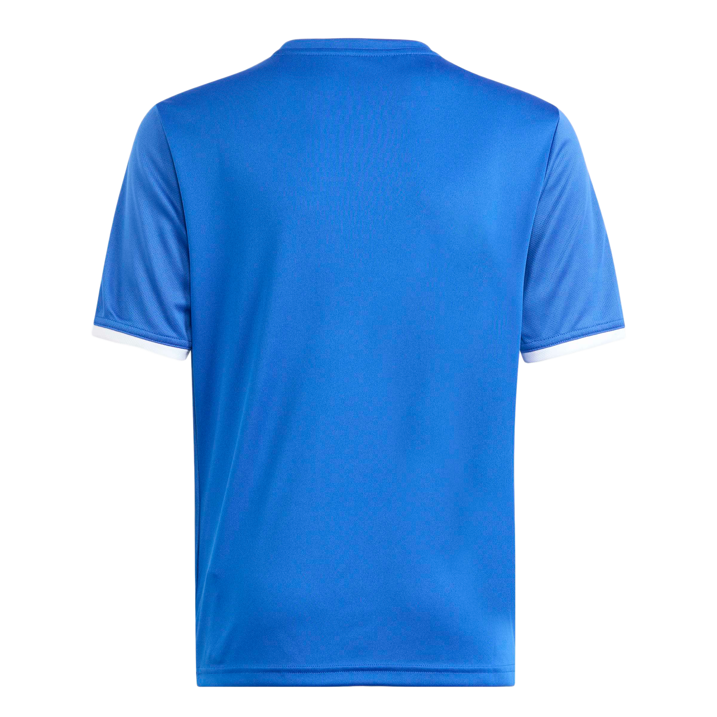 adidas Youth Entrada 26 Graphic Jersey - Royal Blue