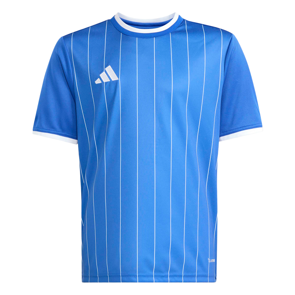 adidas Youth Entrada 26 Graphic Jersey - Royal Blue