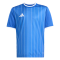 adidas Youth Entrada 26 Graphic Jersey - Royal Blue
