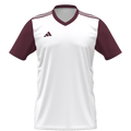 adidas Entrada 22 Custom Jersey Warminster - White