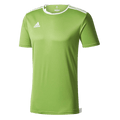 Adidas Entrada 18 Jersey - Green
