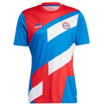 Adidas Bayern Munich Pre-Match Jersey