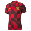 Puma Manchester City Prematch Jersey