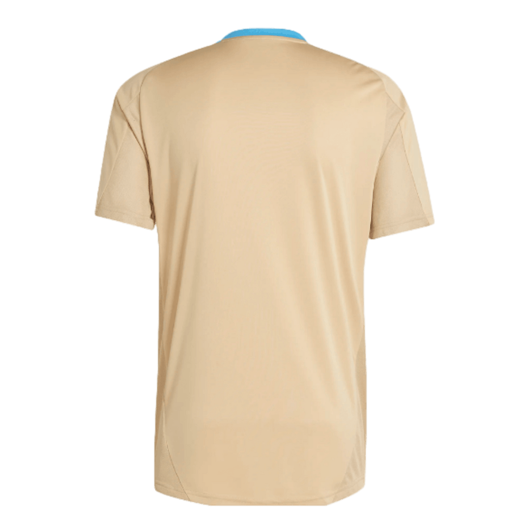 Adidas Argentina Training Jersey