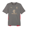 Puma AC Milan Training Jersey