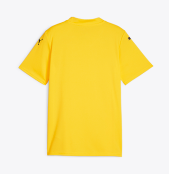 PUMA-TEAMGLORY JERSEY JR-Yellow