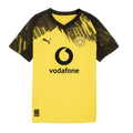 Puma Borussia Dortmund 25/26 Youth Home Jersey