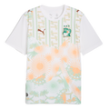 Puma Ivory Coast 2026 Away Jersey
