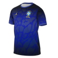 Nike Brazil Academy Pro Pre-Match Jersey