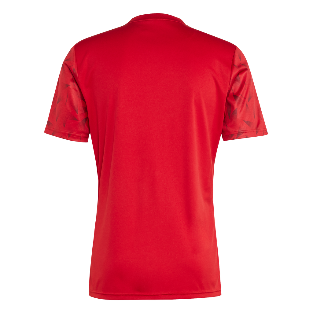 adidas Team Icon 25 Jersey - Red