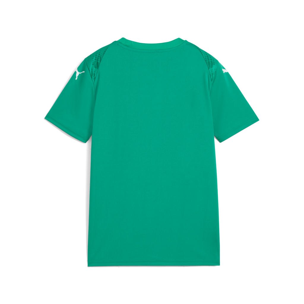 Puma Teamultimate Jersey - Green