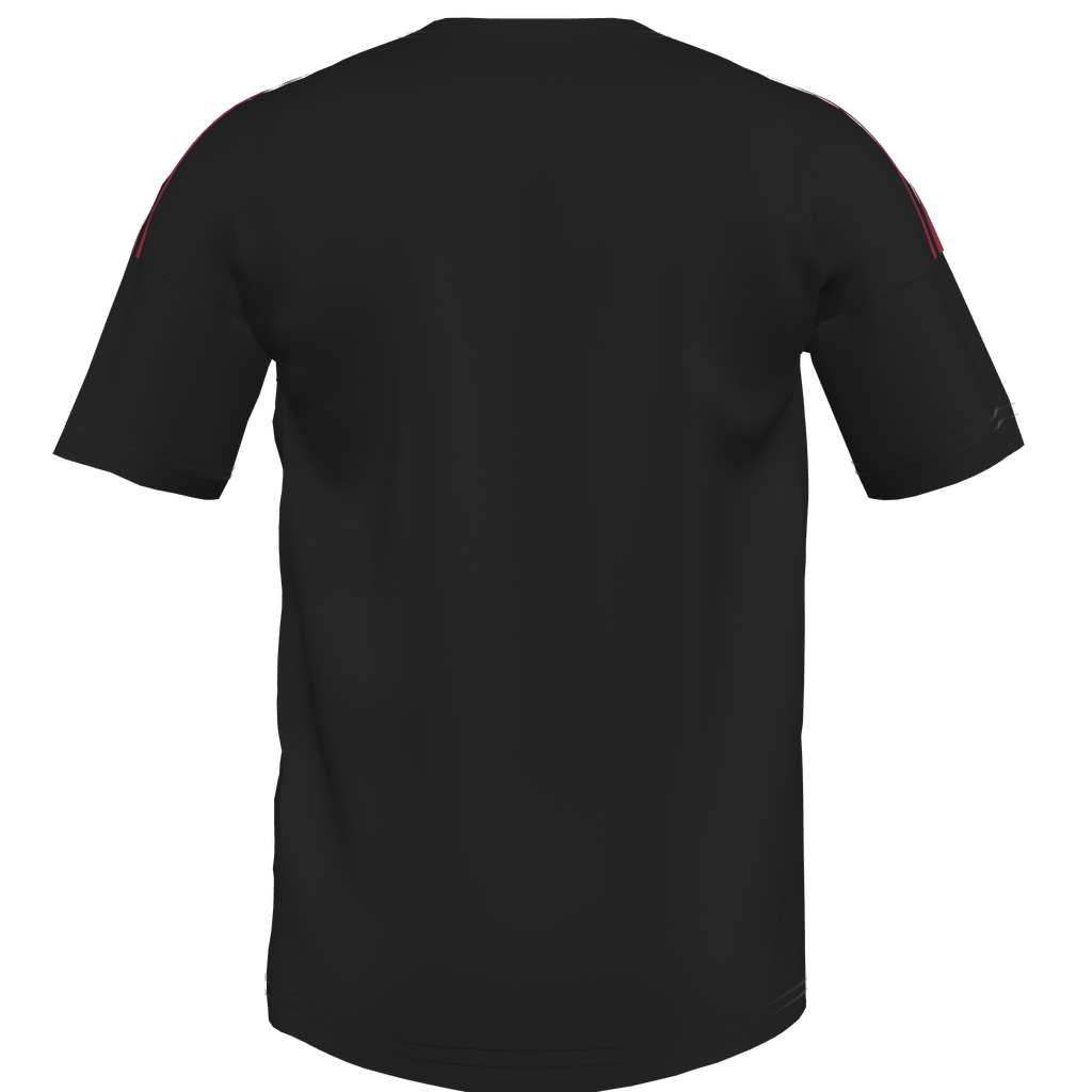 Tiro 24 Custom Jersey Red Star Youth - Black