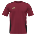 Tiro 24 Custom Jersey Red Star Youth - Red