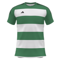 adidas Youth Competition 25 Custom Jersey Dublin United FC - Green/Wht