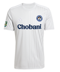 adidas Youth Campeon 25 Jersey DUSC - Grey