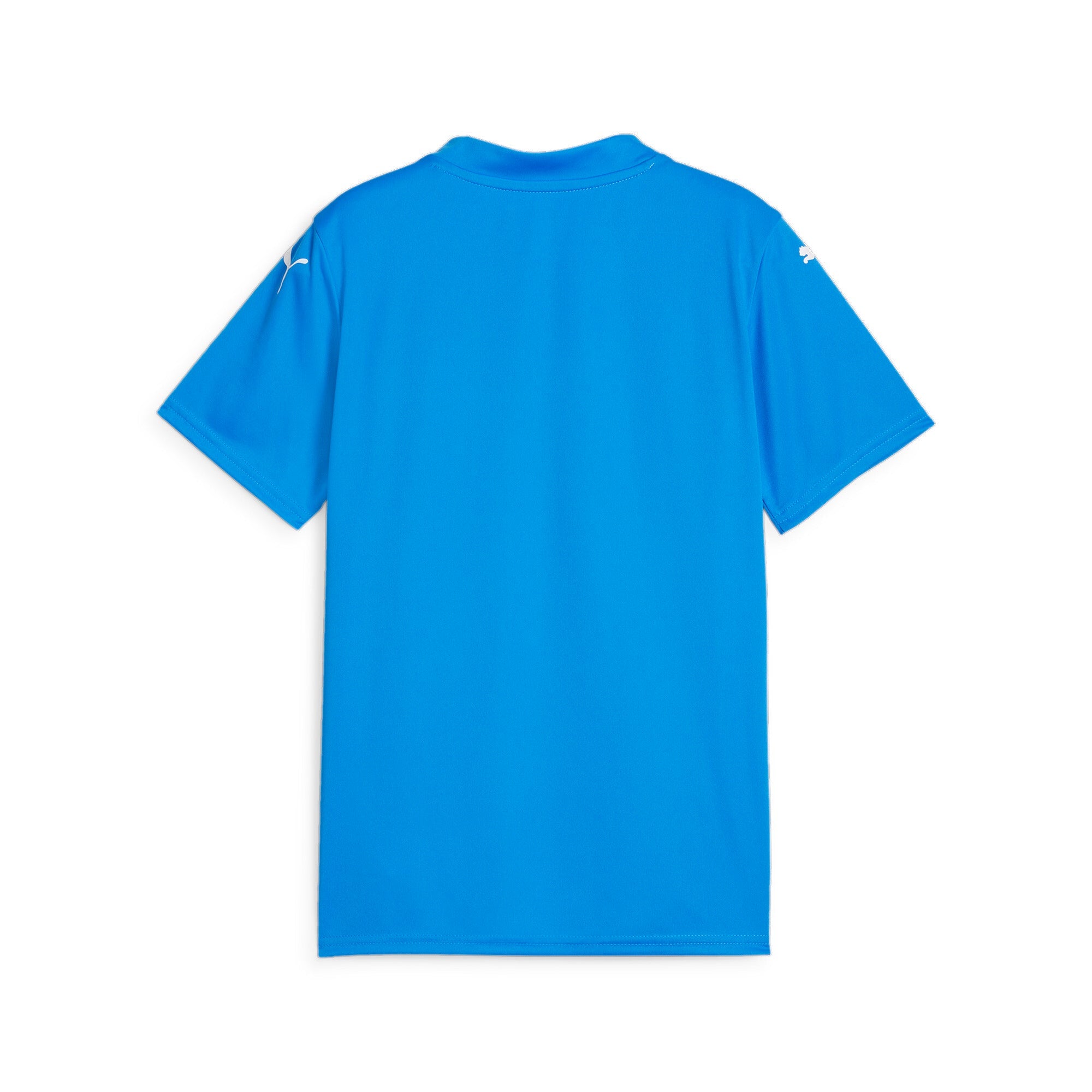 Puma TeamGlory Youth Jersey - Blue [BLUE]